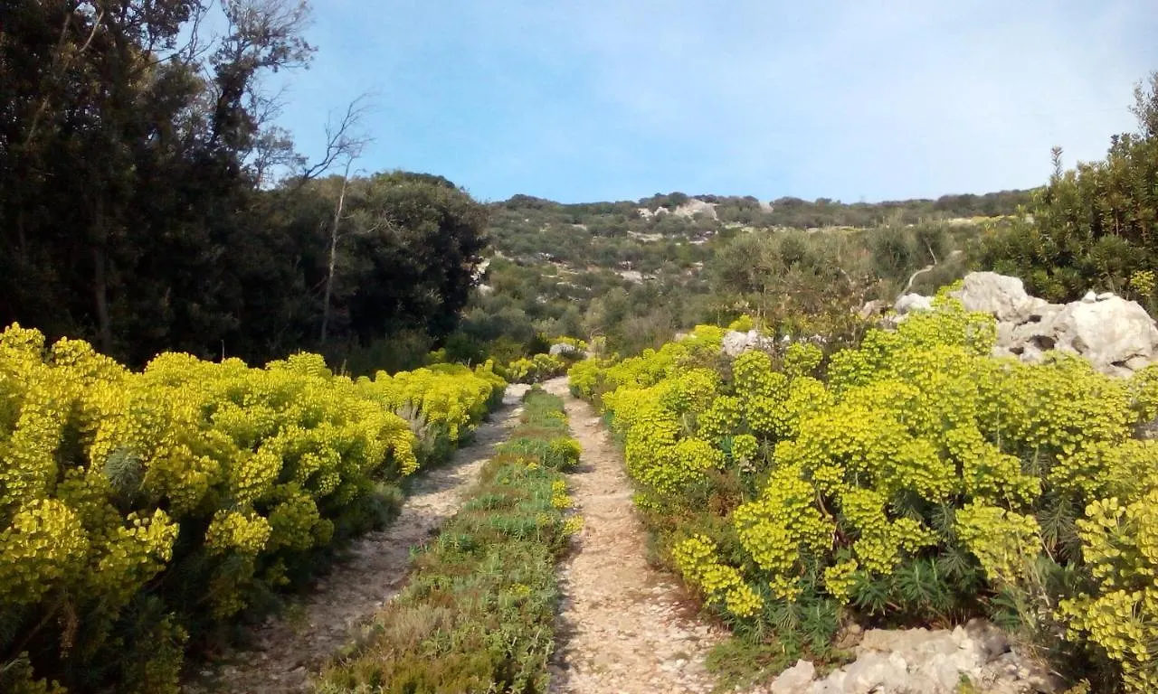 Casula Mediterranea Mali Losinj Holiday home