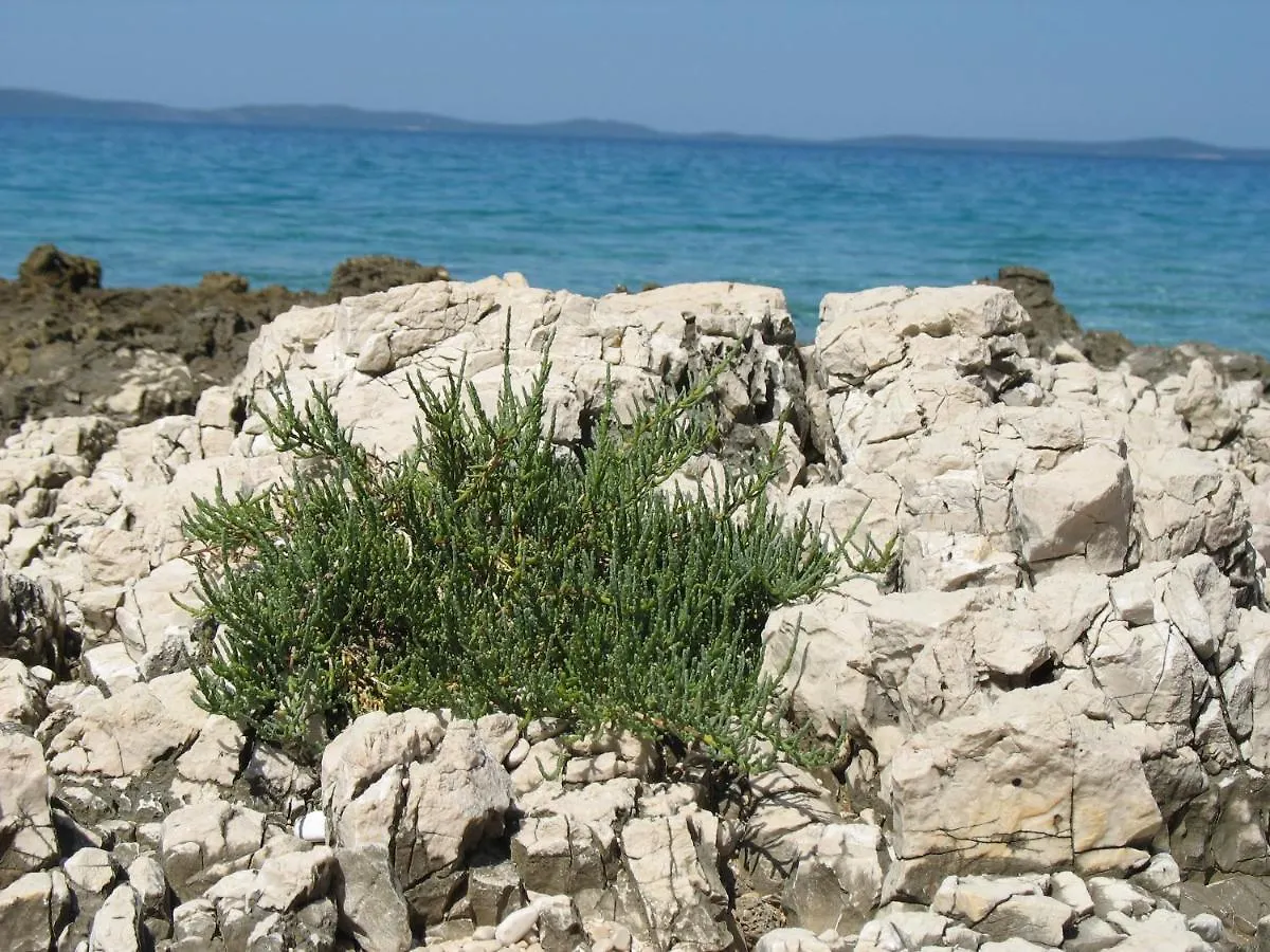Casula Mediterranea Mali Losinj 0*,